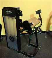Biceps curl machine
some leather wear