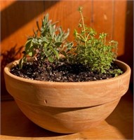 12" Terracotta Herb Planter