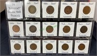 Coins - 14 different Indian head pennies,