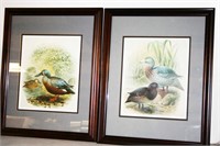 Pr. Framed Duck Prints by K.G. Kevlenans