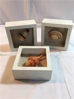 3-D shadow boxes with shells