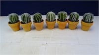 (7) Artificial Cactus