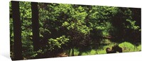 2" Thick Forest Trees Grass Panoramic Canvas