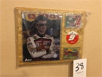 Dale Jr. Wall Placque in Plastic