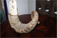 Large horn