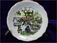 Texas Souvenir Plate