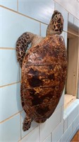 FAUX HANGING TURTLE. - 35"