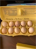 10 Fertile Silkie & Frizzle Eggs