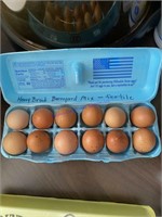 12 Fertile Heavy Chicken Eggs