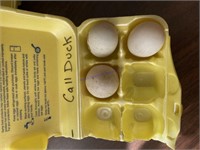 3 Fertile White Call Duck Eggs