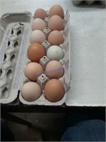 1 Doz Fertile Barn Yard Mix Eggs