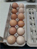 3 Doz Large Eating Eggs - Unwashed