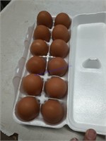 4 Doz Mix Brown Eating Eggs
