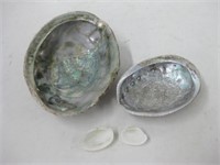 4 Sea Shells - 8" Widest