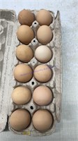 1 Doz. Fertile Lavender Orpington Eggs