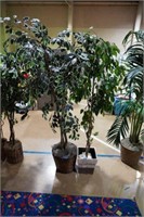 2 Artificial Ficus Trees