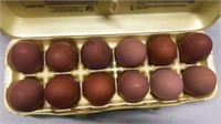 12 Fertile French Black Copper Maran Eggs