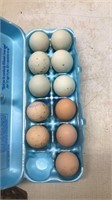 11 Fertile Chicken Eggs * See Description