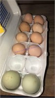 10 Fertile Eggs - 8 Lf Cochin & 2 Olive Egger