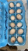 1 Doz Fertile Serama Eggs - 6 Blue Lemon/ 6 Splash