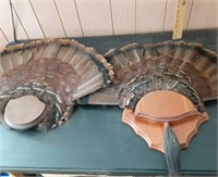 2 turkey tail mounts
