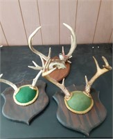 3 sets deer antlers