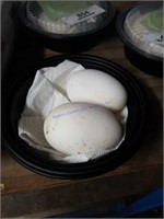 2 Fertile Chinese Geese Eggs