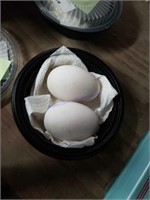 2 Fertile African Geese Eggs