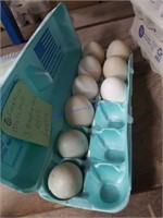 9 Fertile Duck Eggs * See Description