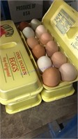 4 Doz Mixed Eating Eggs