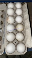 12 Fertile White Leghorn Eggs
