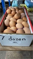 7 Doz Brown Eating Eggs