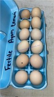 1 Doz Fertile Ayam Cemani Eggs
