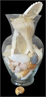 Vase of Authentic Seashells