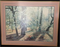 Forestscape Framed Print
