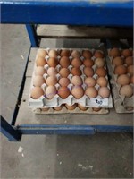 5 Doz Flats Brown Eating Eggs