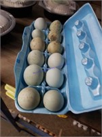 1 Doz Fertile Ameraucana Eggs