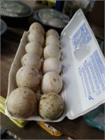 1 Doz Fertile Pekin Duck Eggs