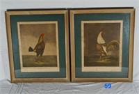 2 Rooster Prints "War & Peace"