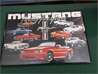 Framed Mustang picture