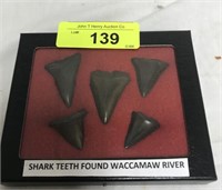 SHARKS TEETH FOUND IN WACCAMAW RIVER