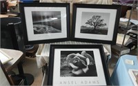 Ansel Adams Framed Prints