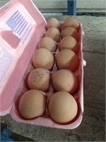 1 Doz Fertile Cuckoo Maran Eggs