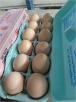 1 Doz Fertile Plymouth Barred Rock Eggs