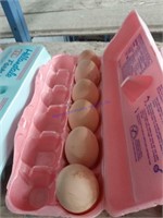 6 Fertile Red Ranger Eggs