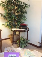 Ficus Fun