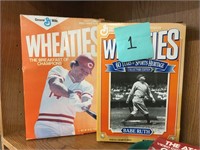 Base ball Icon wheaties