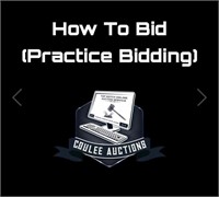 How to bid (PRACTICE HERE)
