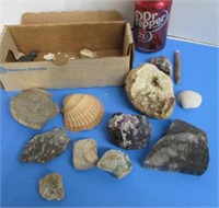 Misc. Rocks Shells