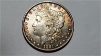 1881 Morgan Silver Dollar Uncirculated Toned